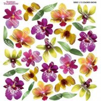 Folia 3D  z nadrukiem SOSPESO/ 1/12 Orchidea