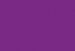 (606) Farba akrylowa 100ml (fiolet) - acrylic paint (violet)