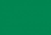 (464) Farba akrylowa 20ml (zielony)