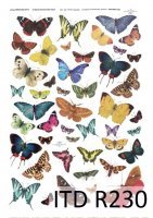 Papier ryżowy ITD - R230 Kolorowe motylki
