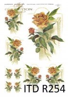 Papier ryżowy ITD - R254 Róże