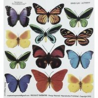 Folia 3D  z nadrukiem SOSPESO/ 3/01 Kolorowe motyle 
