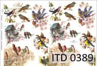 Papier ITD duży 42x29 - 0389 Ptaszki wiosenne