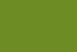 (467) Farba akrylowa 20ml (oliwka)