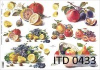 Papier ITD duży 42x29 - 0433 Owoce