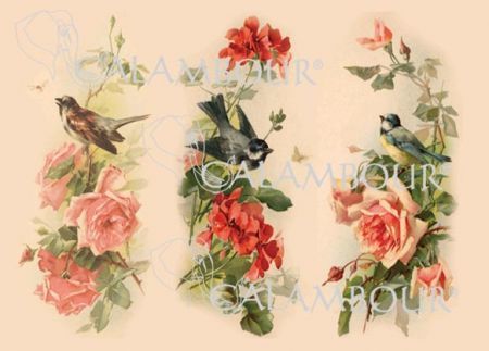 Papier Ryżowy CALAMBOUR 42,5x30,5/ PAU 78 Róże i ptaszki