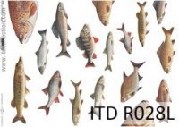 Papier ryżowy DUŻY A3   ITD R028L  Ryby