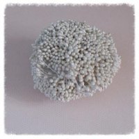 Pręciki do kwiatków P04 -ok. 100 szt.  perłowe