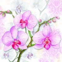 Serwetka AM 133 07700 Orchids Lilac -opakowanie 20 szt