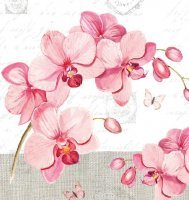 Serwetka AM 133 09955- Orchidea -opakowanie 20 szt