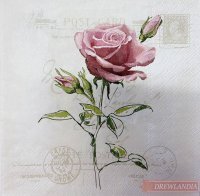 Serwetka AM13316360 Vintage rose -opakowanie 20szt